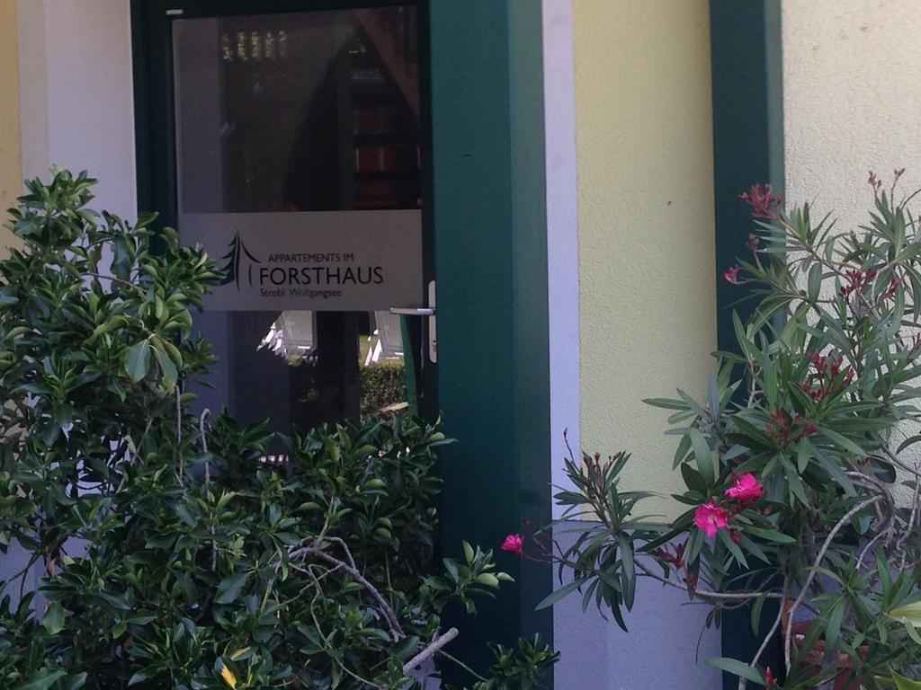 Appartements Im Forsthaus Strobl Dış mekan fotoğraf