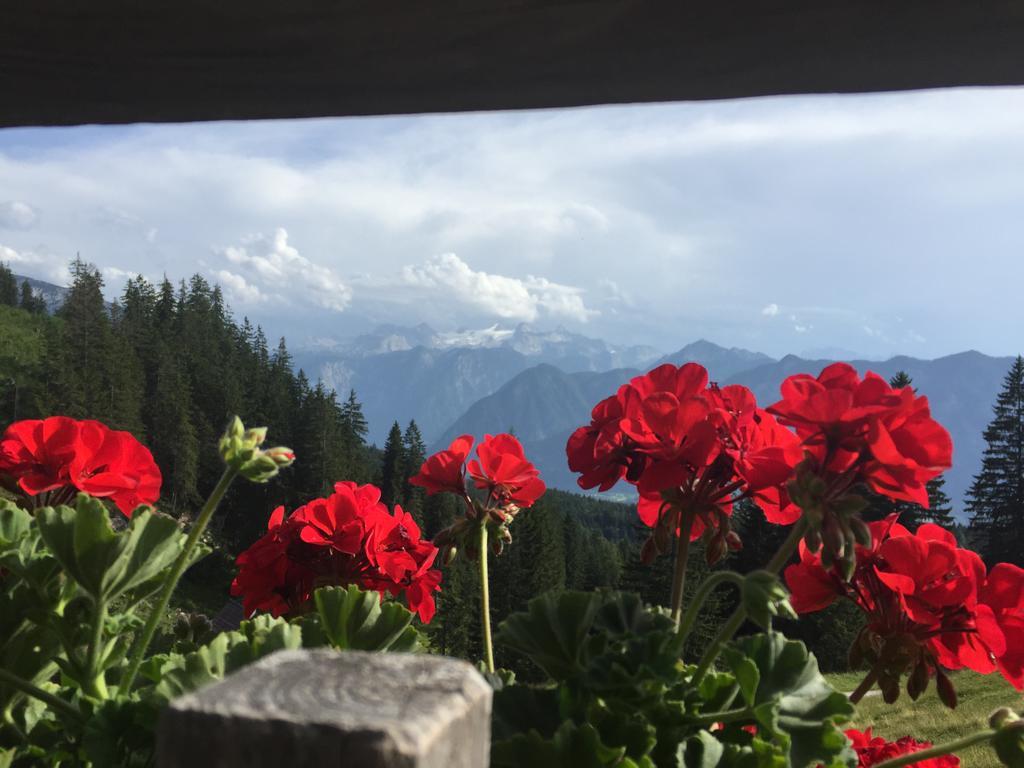 Appartements Im Forsthaus Strobl Dış mekan fotoğraf